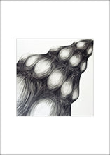 Load image into Gallery viewer, 4 Shell Notecards, made from The Shell Series, an original set of charcoal drawings