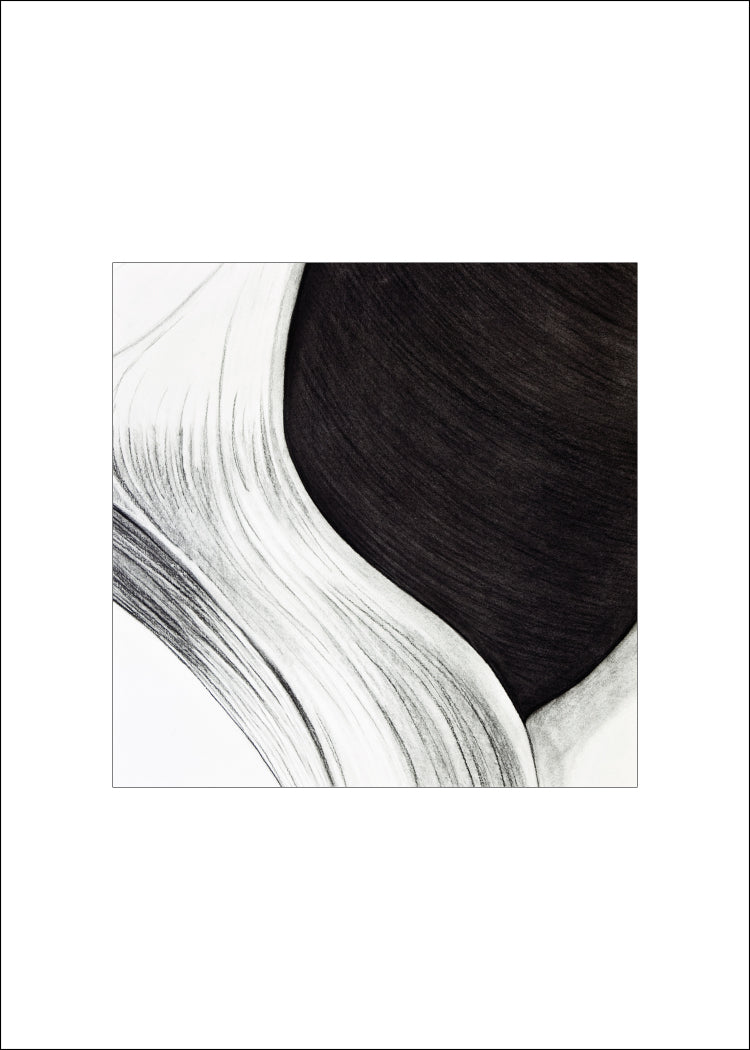 4 Shell Notecards, made from The Shell Series, an original set of charcoal drawings