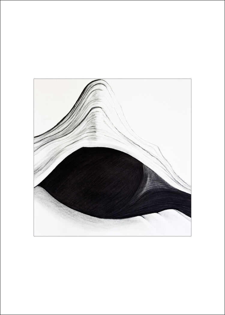 4 Shell Notecards, made from The Shell Series, an original set of charcoal drawings