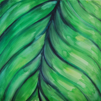limited edition print of Tropical Leaf, a watercolor + gouache painting by Jane Nicolo