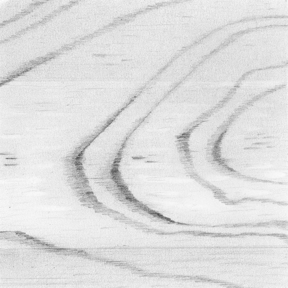 limited edition print of the texture series, a set hyperrealistic graphite drawings by Jane Nicolo