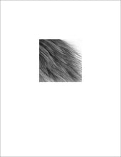 Load image into Gallery viewer, limited edition print of the texture series, a set hyperrealistic graphite drawings by Jane Nicolo